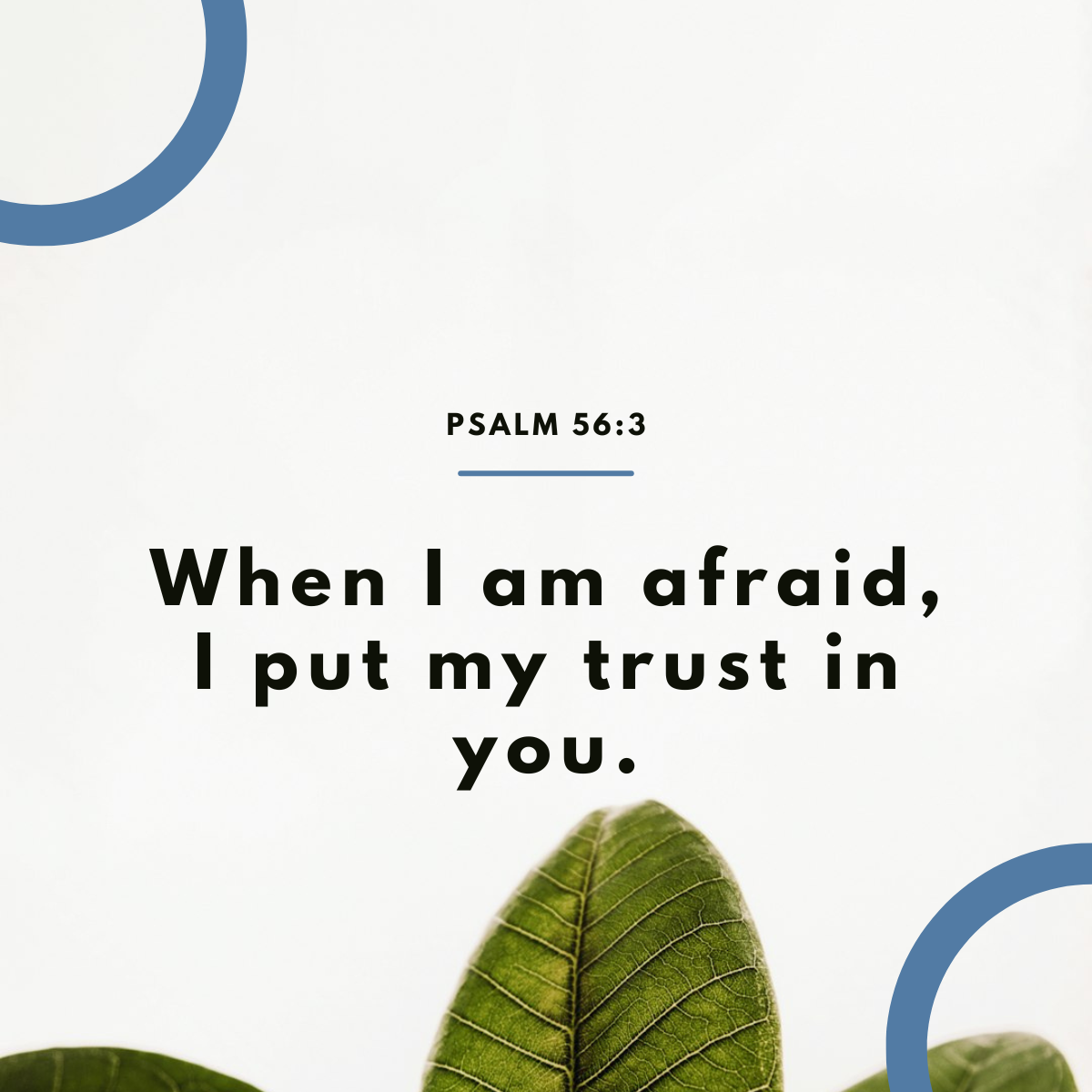 Psalm 56:3