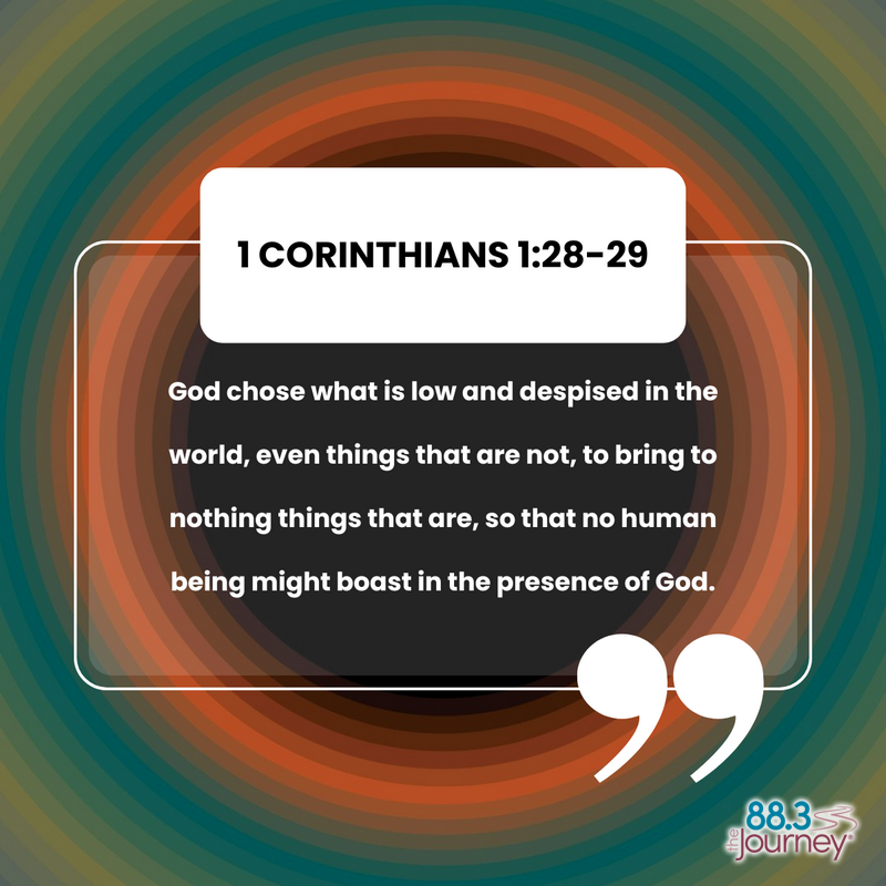 1 Corinthians 1: 28-29