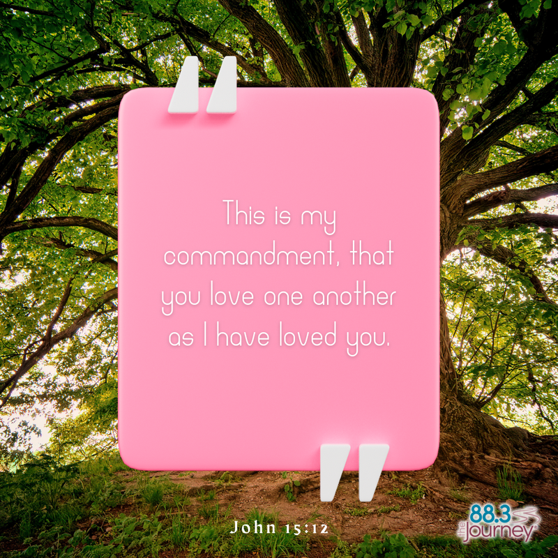 John 15:12