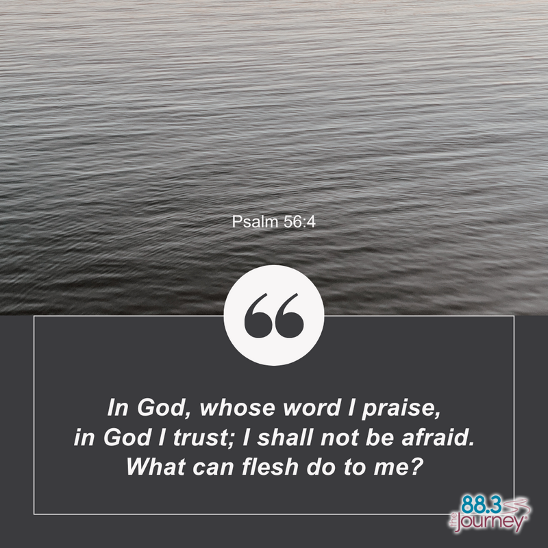 Psalm 56:4
