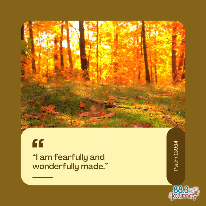 Psalm 139:14