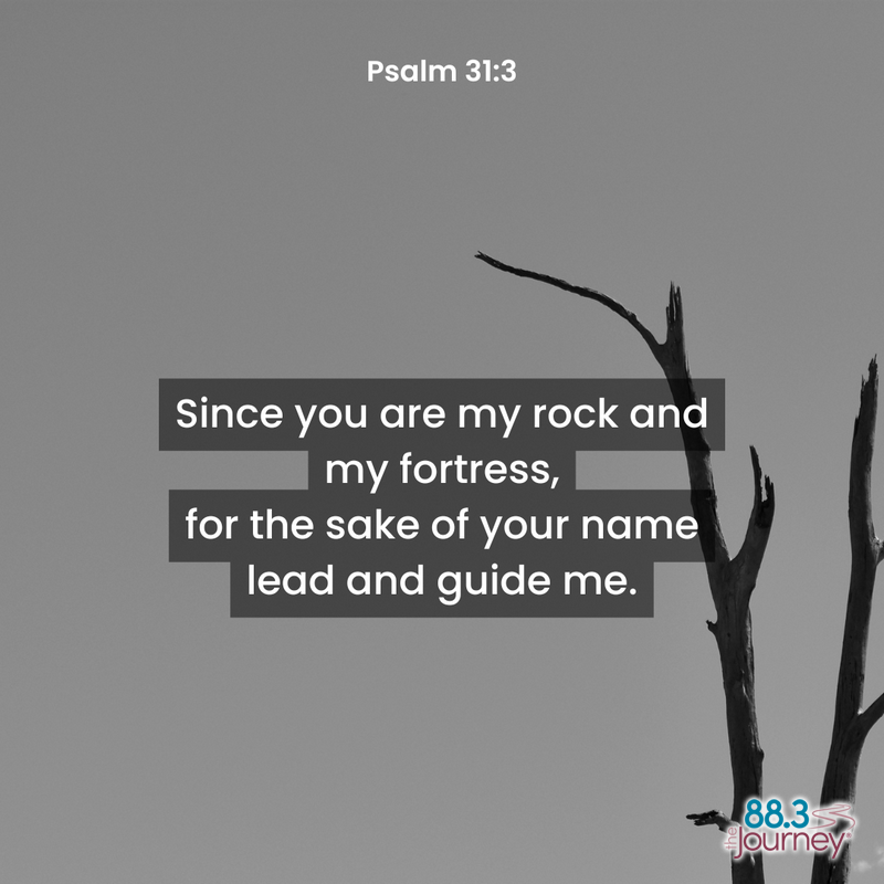 Psalm 31:3