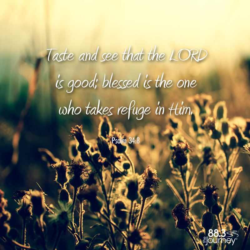 Psalm 34:8