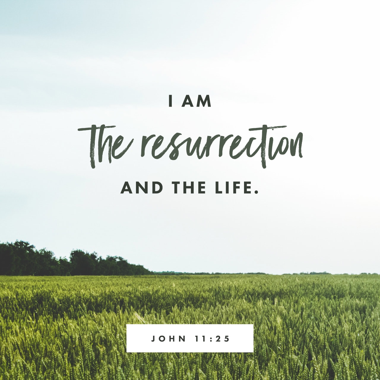 John 11:25