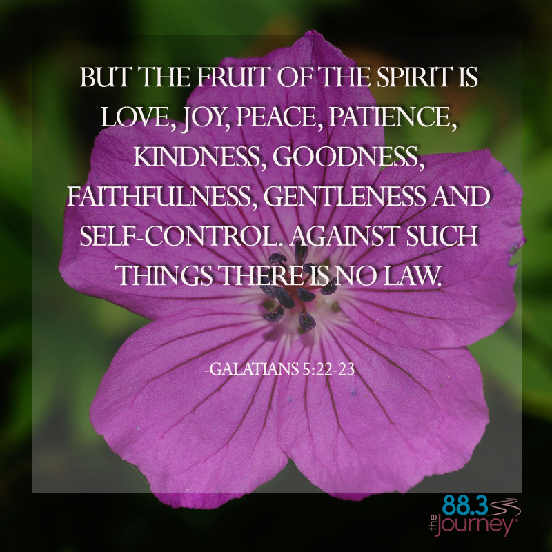 Galatians 5:22-23