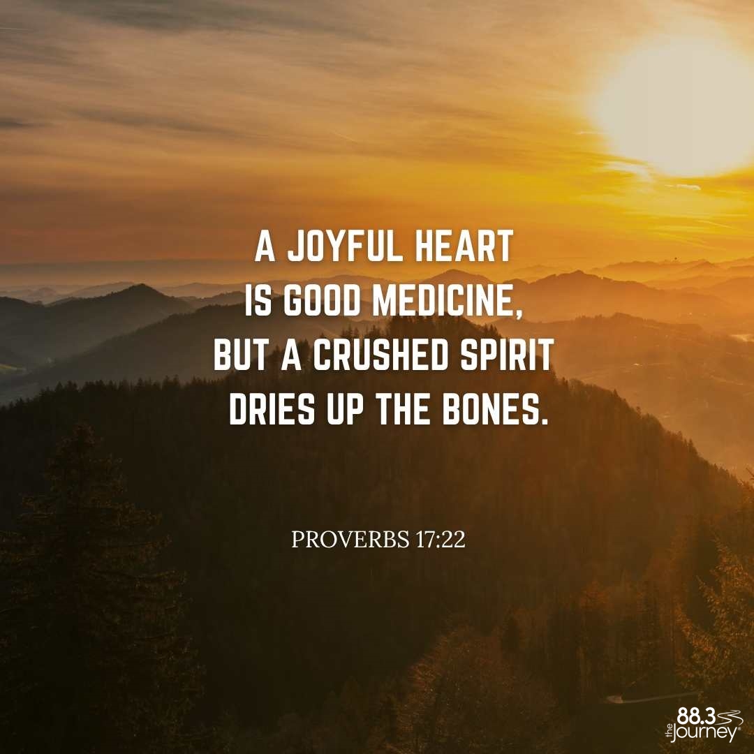 Proverbs 17:22
