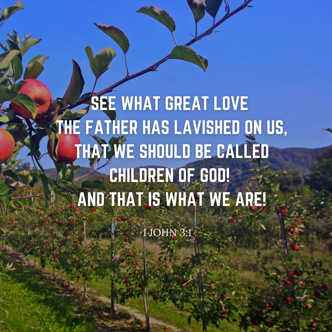 1 John 3:1